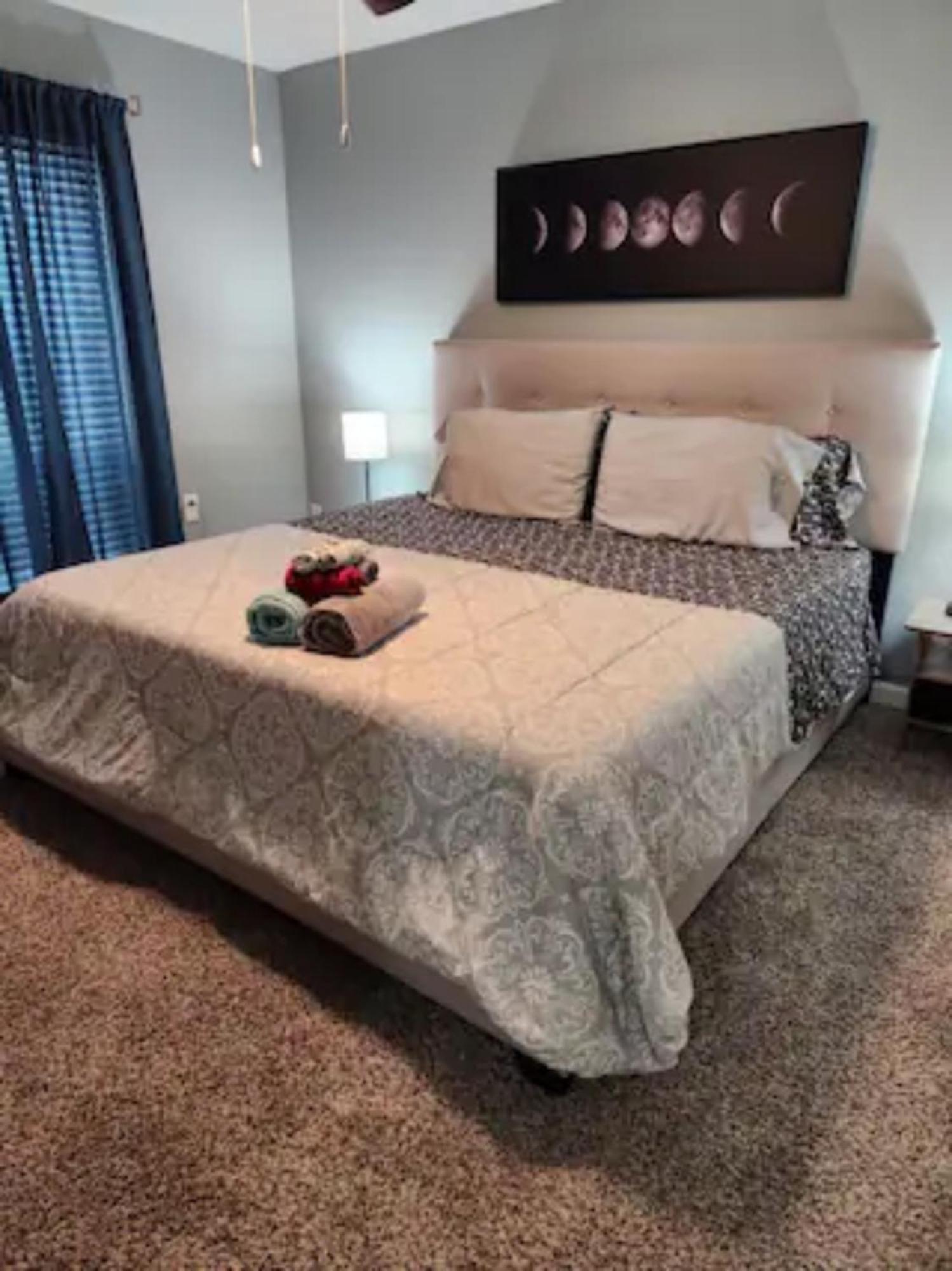 Blue Shark *B501* @ Medical Center 1Br Modern King Apartment With Private Patio 休斯敦 外观 照片